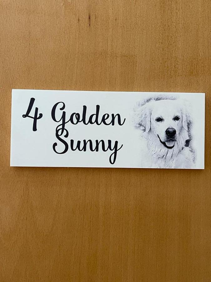Sunny, The House - Al Hostel Faro Bilik gambar